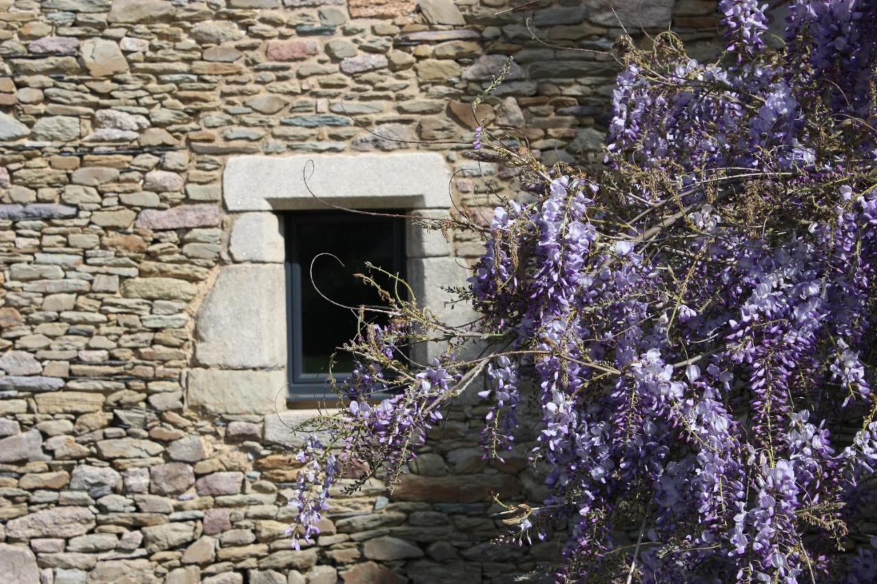 Domaine De La Prevostais Acomodação com café da manhã Pleucadeuc Exterior foto